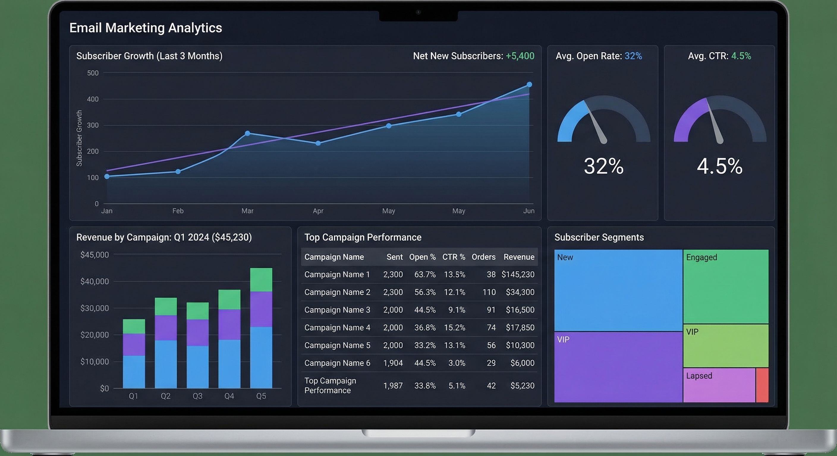 Email marketing analytics dashboard showing list growth, open rates, click-through rates, and campaign performance metrics